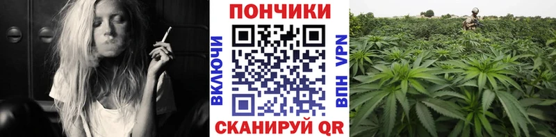 сайты даркнета как зайти  KRAKEN зеркало  Иркутск  Бошки Шишки Bruce Banner 